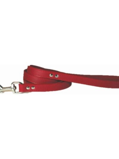 Omni Pet Leather Dog Leash Red 3/4in. x 4ft.