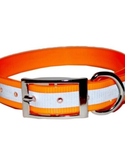 Omni Pet Sunglo Reflective Dog Collar Orange 1 x 25in.