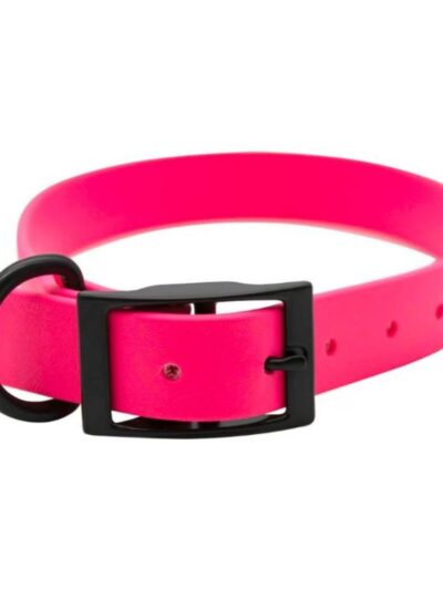 Omni Pet Zeta Biothane Dog Collar with Blk Hardware Ruby 1 x 22in.