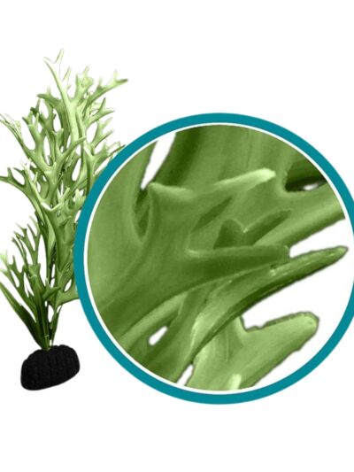 Weco Products Marine Pro Series Giant Kelp Aquarium Plant Green, 1ea/6 in, Giant