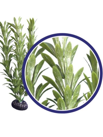 Weco Products Freshwater Series Anacharis Aquarium Plant Green, 1ea/9 in