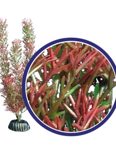 Weco Products Freshwater Series Foxtail Aquarium Plant Red, 1ea/9 in