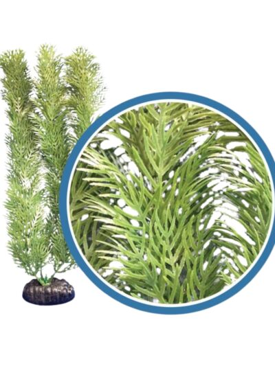Weco Products Freshwater Pro Series Cabomba Aquarium Plant Green, 1ea/9 in