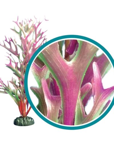 Weco Products Marine Pro Series Giant Kelp Aquarium Plant Red, 1ea/9 in, Giant