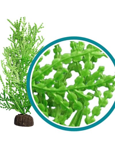 Weco Products Marine Pro Series Giant Halimeda Aquarium Plant Green, 1ea/9 in