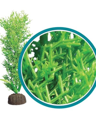 Weco Products Marine Pro Series Bushy Kelp Aquarium Plant Green, 1ea/9 in