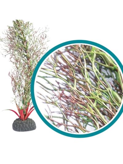 Weco Products Marine Pro Series Fine Branch Kelp Aquarium Plant Green, 1ea/9 in