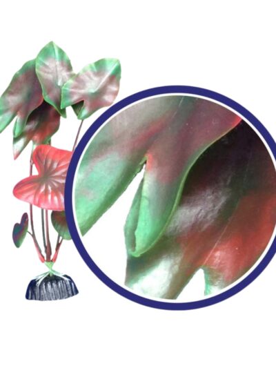 Weco Products Freshwater Series Tiger Lotus Aquarium Plant Red, 1ea/12 in