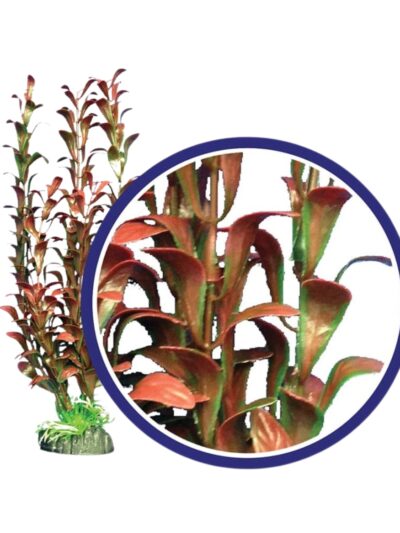 Weco Products Freshwater Series Hygrophilia Aquarium Plant Red, 1ea/12 in