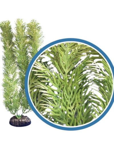 Weco Products Freshwater Pro Series Cabomba Aquarium Plant Green, 1ea/12 in