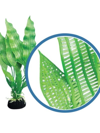Weco Products Freshwater Pro Series Madagascar Lace Aquarium Plant Green, 1ea/12 in