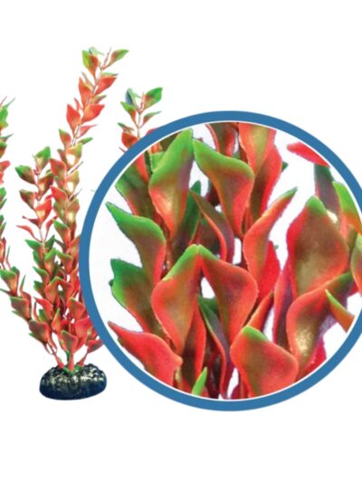 Weco Products Freshwater Pro Series Ludwigia Aquarium Plant Red, 1ea/12 in