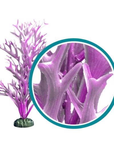 Weco Products Marine Pro Series Giant Kelp Aquarium Plant Purple, 1ea/12 in, Giant