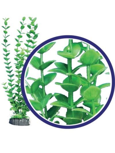 Weco Products Freshwater Series Bacopa Aquarium Plant Green, 1ea/18 in
