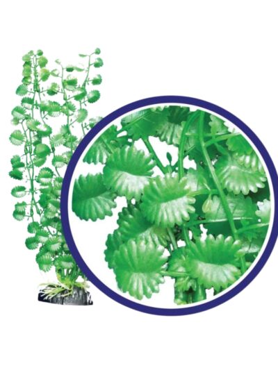 Weco Products Freshwater Series Japanese Cress Aquarium Plant Green, 1ea/18 in
