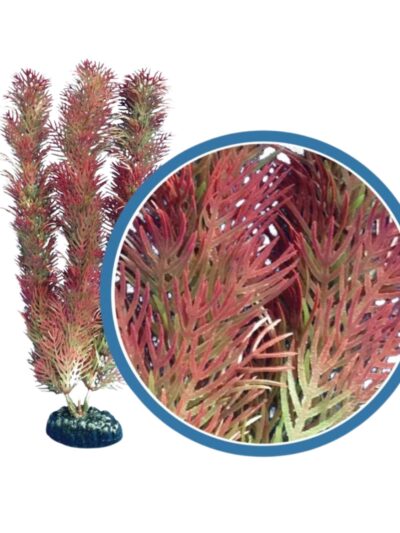 Weco Products Freshwater Pro Series Cabomba Aquarium Plant Red, 1ea/18 in