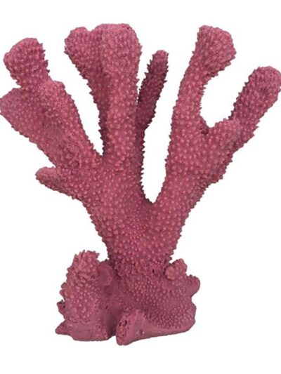 Weco Products South Pacific Coral Cats Paw Ornament Rose, 1ea/MD