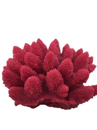 Weco Products South Pacific Coral Acorapora Humilis Ornament Rose, 1ea/SM