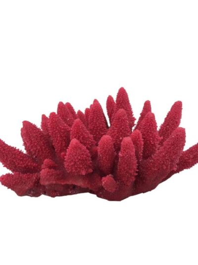 Weco Products South Pacific Coral Acorapora Humilis Ornament Rose, 1ea/MD