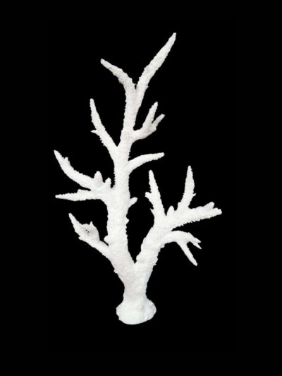 Weco Products South Pacific Coral Staghorn Tall Ornament White, 1ea/MD