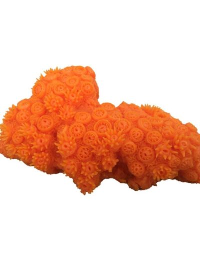 Weco Products South Pacific Coral Tubastrea Ornament Orange, 1ea/MD