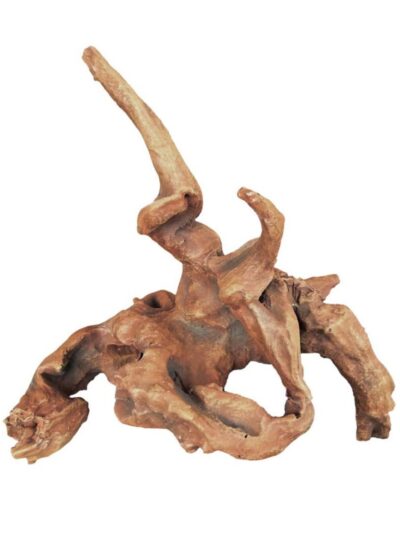 Weco Products Wecorama Aquarama African Wood Brown, 1ea/6.32 in, XS