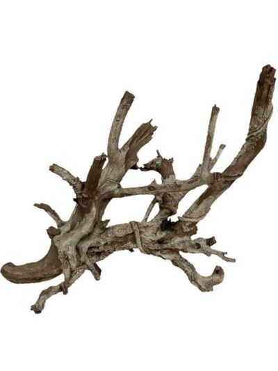Weco Products Wecorama Aquarama Wicked Branch Show Grey, Brown, 1ea
