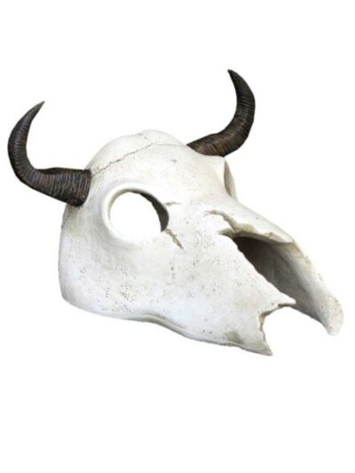 Weco Products Wecorama Catacombs Longhorn Skull Aquarium Ornament Black, White, 1ea