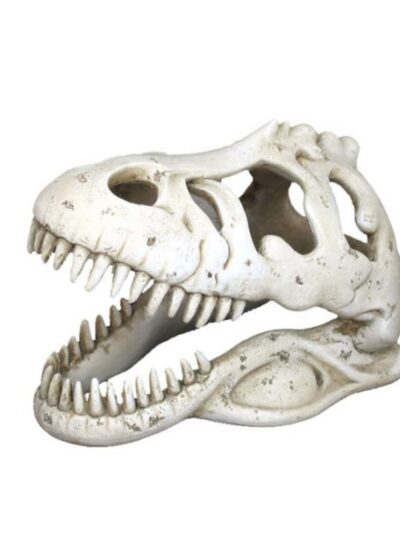Weco Products Wecorama Catacombs T-REX Skull Aquarium Ornament White, 1ea