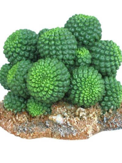 Weco Products Wecorama Badlands Sonoran Cactus Terrarium Ornament Brown, Green, 1ea/2.92 in
