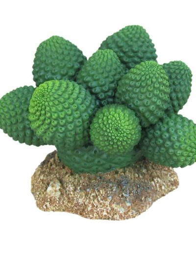Weco Products Wecorama Badlands Pointed Sonoran Cactus Terrarium Ornament Brown, Green, 1ea/3 in