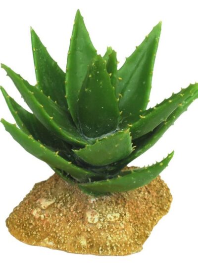 Weco Products Wecorama Badlands Aloe Vera Terrarium Ornament Brown, Green, 1ea/5 in