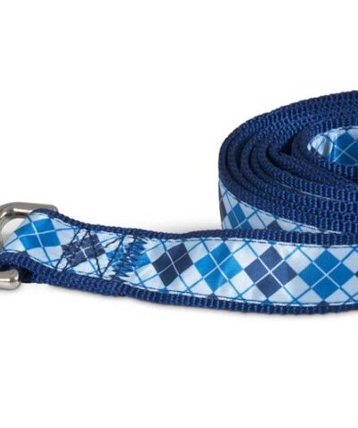 Aspen Ribbon Overlay Dog Leash Blue 1ea/1 In X 6 ft, One Size
