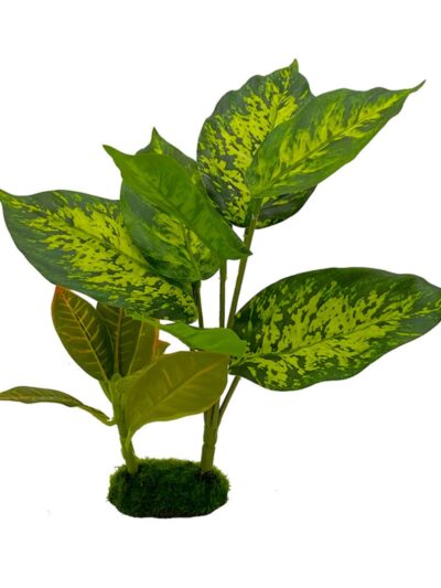 Blue Ribbon Pet Products Tropical Gardens Dieffenbachia Aquarium Plant 1ea/10in.