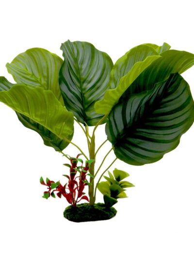 Blue Ribbon Pet Products Tropical Gardens Variegated Calathea Aquarium Plant 1ea/13in.