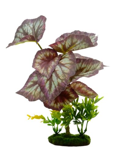 Blue Ribbon Pet Products Tropical Gardens Caladium Bicolor Aquarium Plant 1ea/11in.