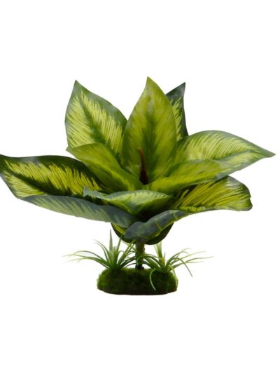Blue Ribbon Pet Products Tropical Gardens Variegated Diffenbachia 1ea/6in.