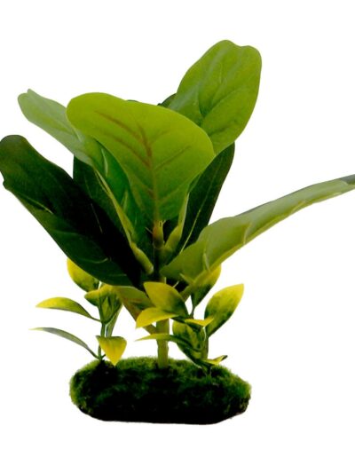 Blue Ribbon Pet Products Tropical Gardens Fiddle Leaf Aquarium Plant 1ea/8in.