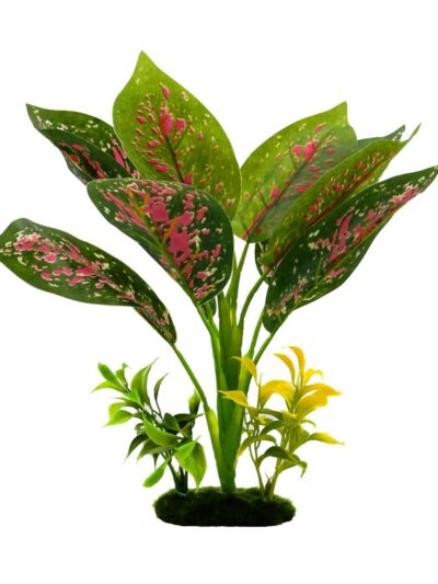 Blue Ribbon Pet Products Tropical Gardens Chinese Evergreen Aquarium Plant 1ea/12in.