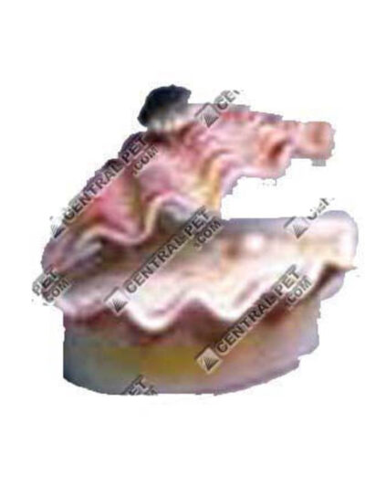 Penn-Plax Tropical Clam Air Aquarium Ornament White, Pink 1ea