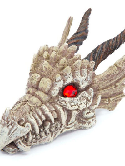 Penn-Plax Dragon Skull Gazer Aquarium Ornament 1ea/3 in, SM
