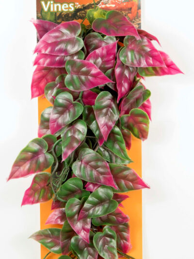 Penn-Plax Reptile Vine Green, Red 1ea/24 in