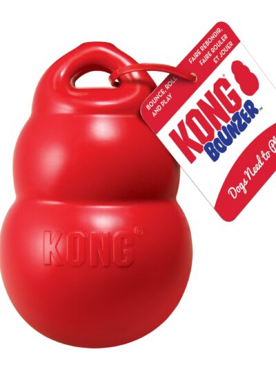 KONG Bounzer Dog Toy Red 1ea/MD