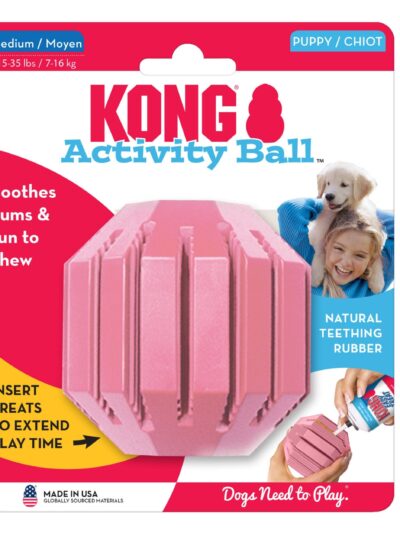 KONG Activity Ball Puppy Toy Assorted 1ea/MD
