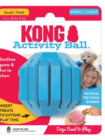 KONG Activity Ball Puppy Toy Assorted 1ea/SM
