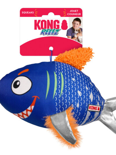 KONG Reefz Dog Toy Assorted 1ea/SM
