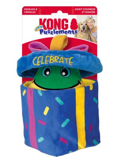 KONG Puzzlements Surprise Present Dog Toy 1ea/MD