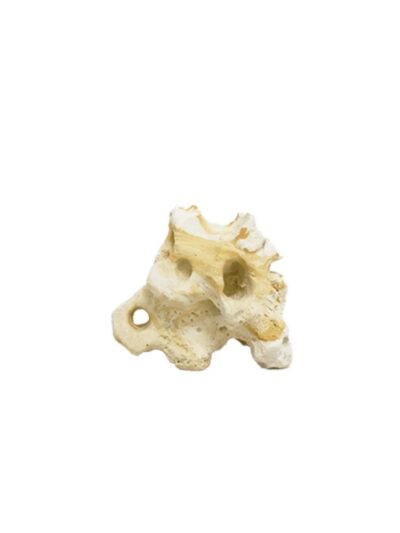 Hikari USA Resin Texas Holey Rock 1ea/5.7 In X 3.75 In X 4.50 in.