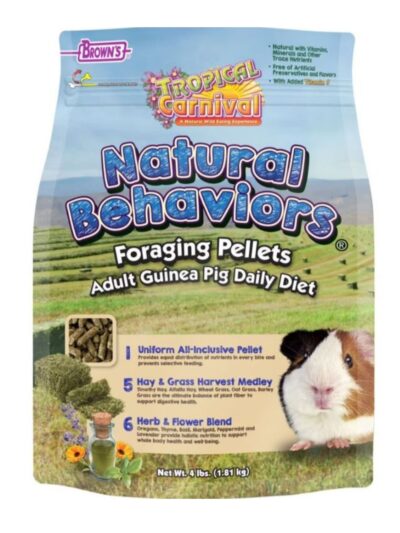 Tropical Carnival Foraging Pellets Guinea Pig Food 4 Lb