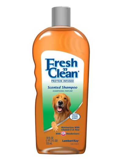 Fresh N Clean Protein Infused Fresh Clean Scent Shampoo 1ea/18 fl oz